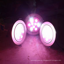 1 * 3W RGB COB LED teto lâmpada / teto Downlight (CE RoHS)